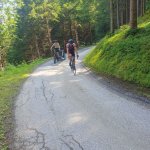 Vereinsmeisterschaft 2023
